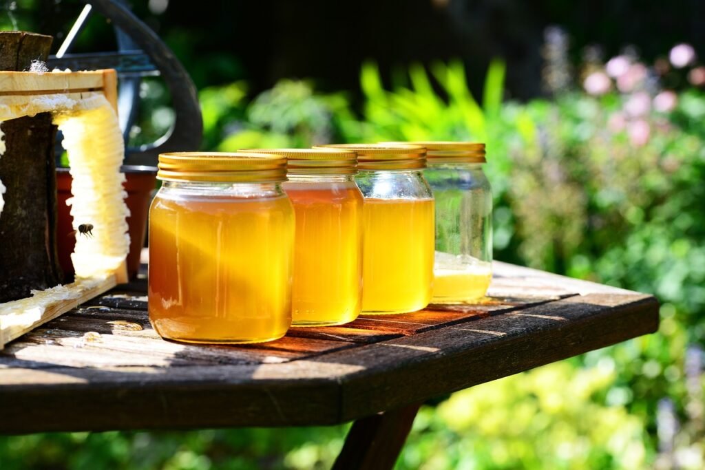 honey, nature, jars